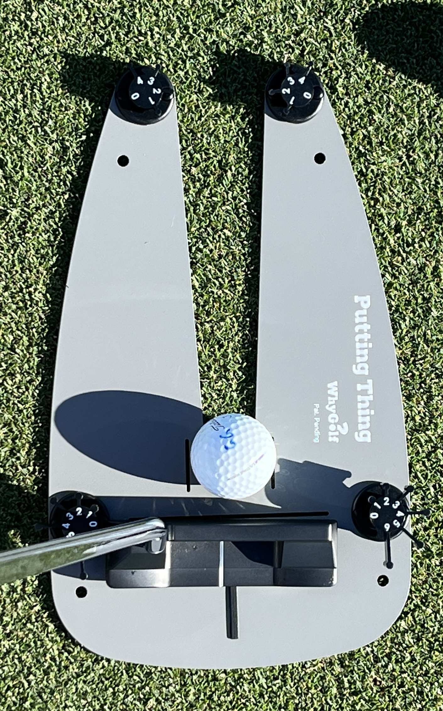 Putting Thing